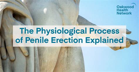 erection problems (4) pain during sexual intercourse; indentation of the penile shaft; anxiety and stress (3) Peyronie's disease causes The exact cause of Peyronie disease isn't clear yet. However, there are factors believed to contribute to the disease such as repeated injury to the penis.